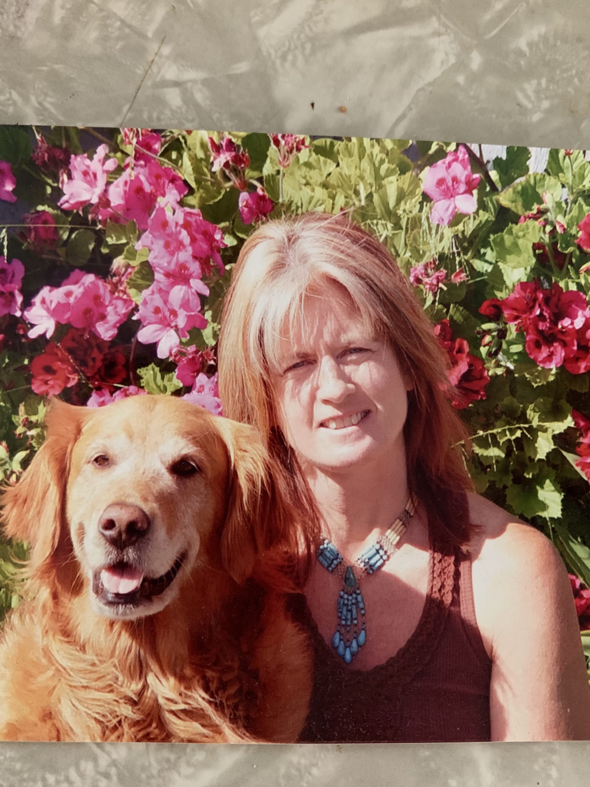 Cathie Provost